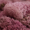 MOSS Tote
