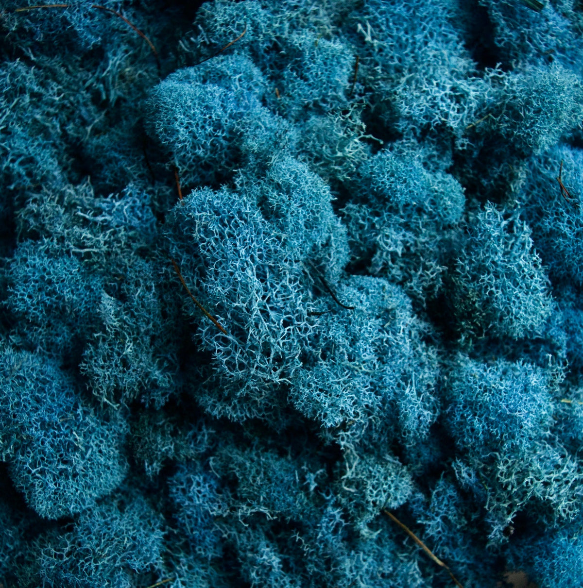 MOSS Tote