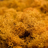 MOSS Tote