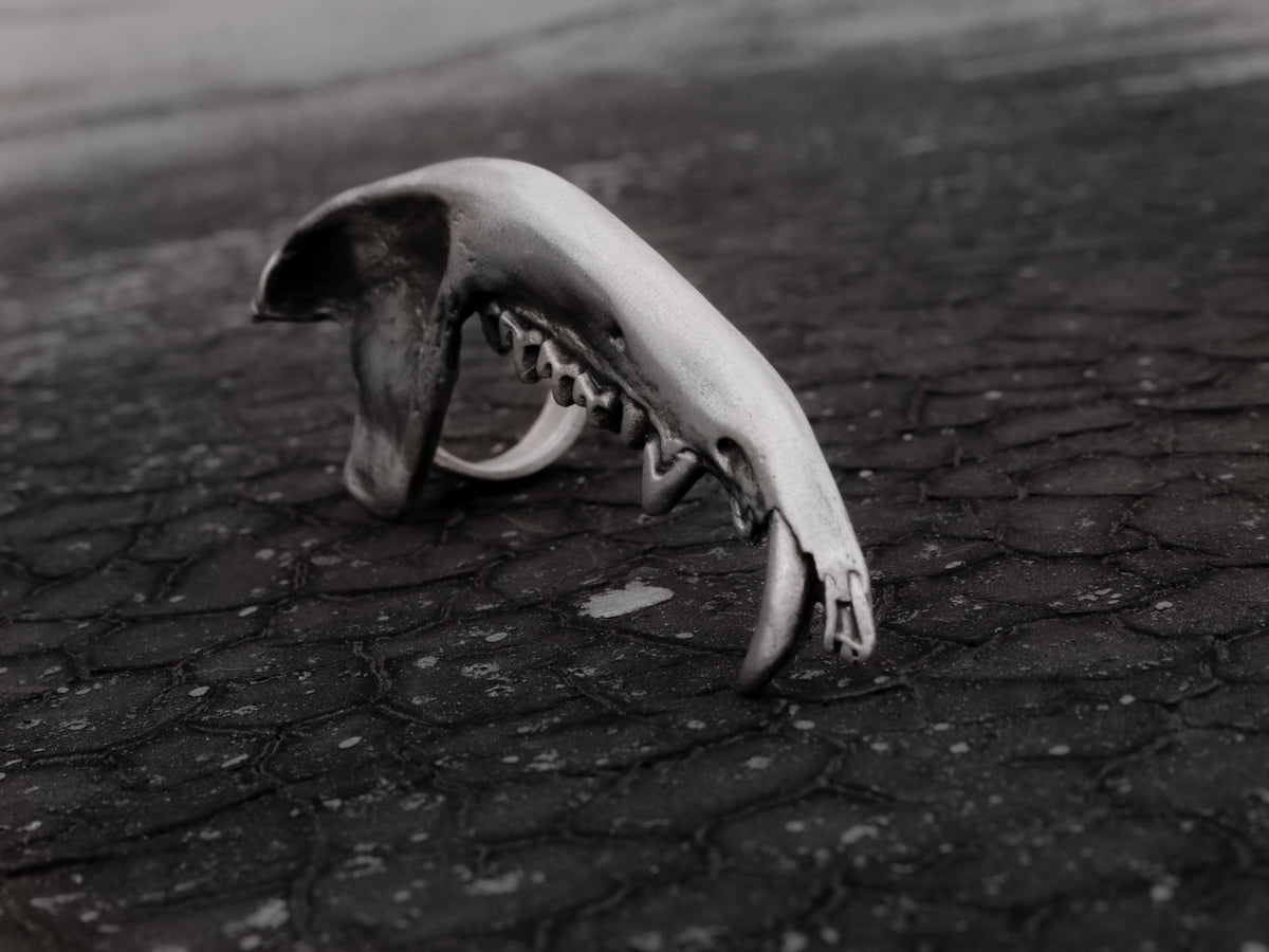 Gaag Jaw Bone Ring