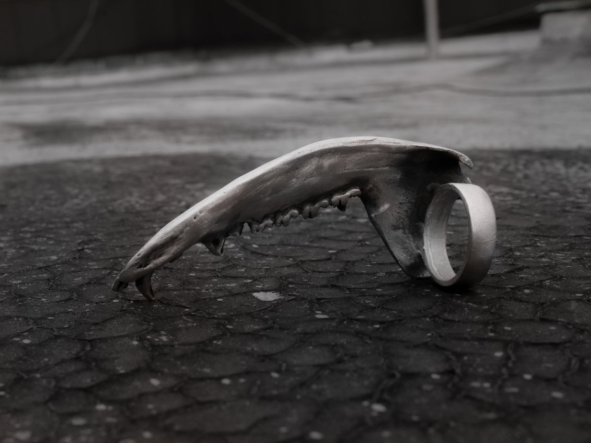 Gaag Jaw Bone Ring