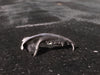 Gaag Jaw Bone Ring
