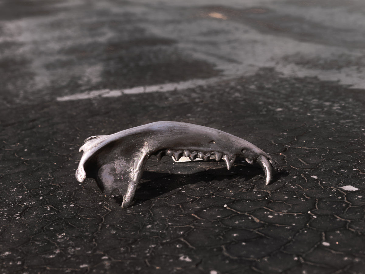 Gaag Jaw Bone Ring