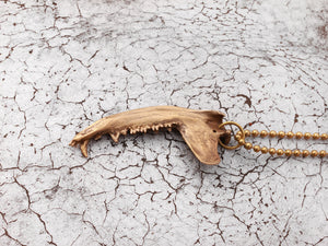 Gaag Jaw Bone Necklace