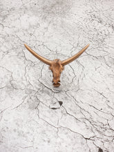 Tonka Skull Ring