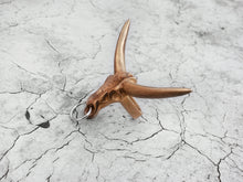Tonka Skull Ring