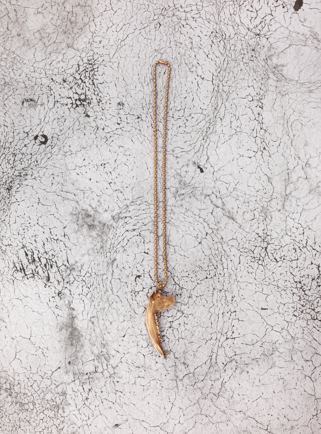 Gaag Jaw Bone Necklace