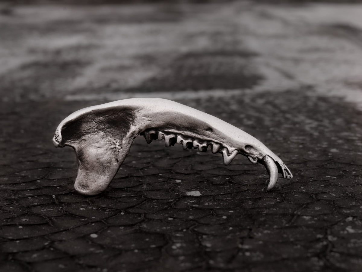 Gaag Jaw Bone Ring